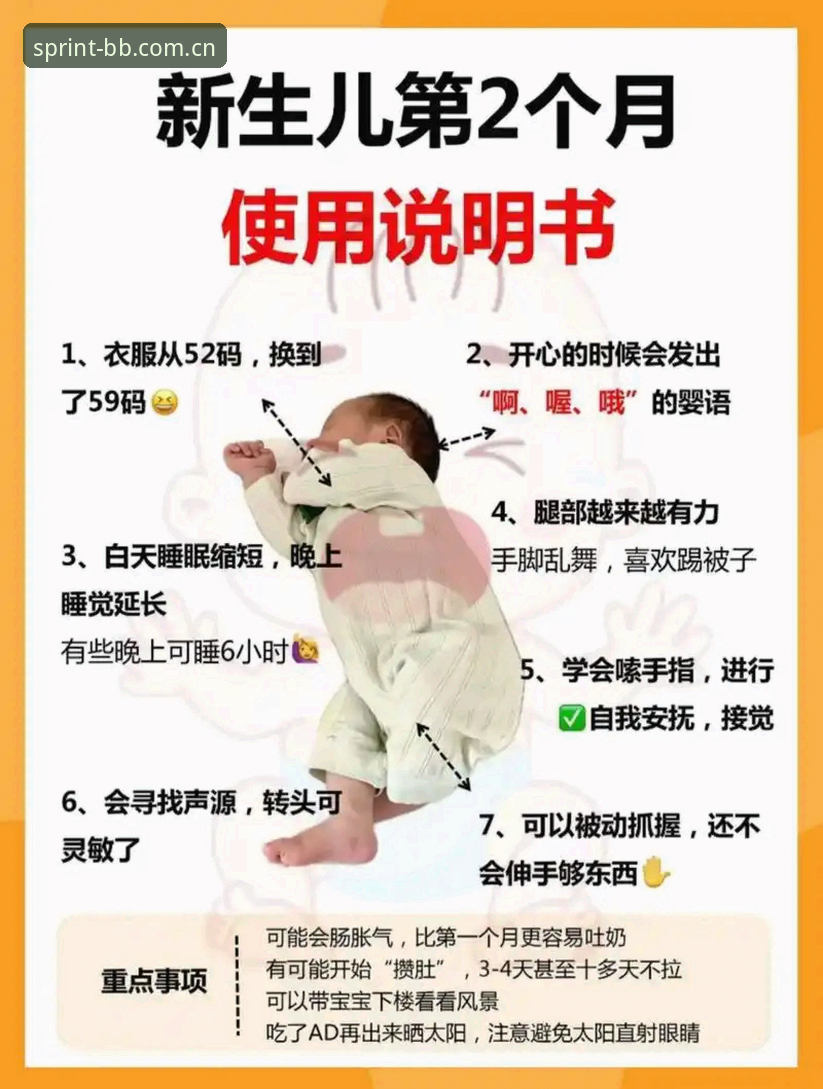 BB版本常见问题全解析与使用指南