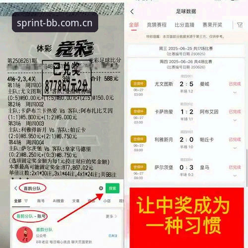 资深用户分享：BB热门赛事观赛实战经验，从注册到分析一步到位